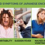 symptoms of japanese encephalitis explained