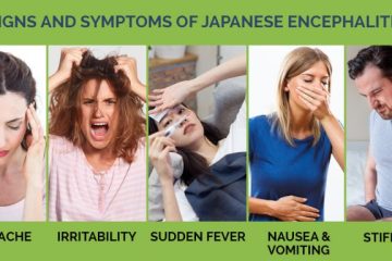 symptoms of japanese encephalitis explained