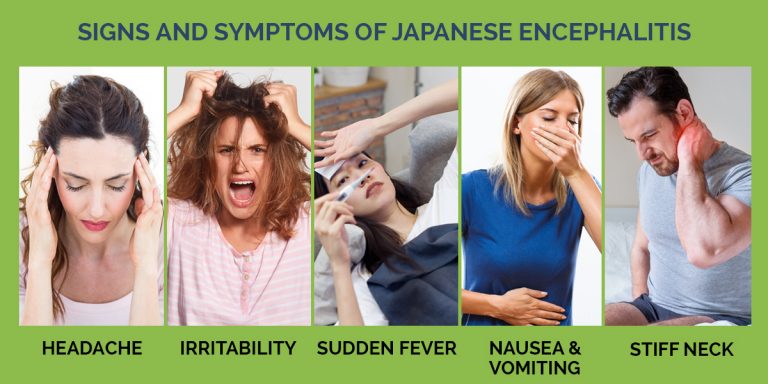 symptoms of japanese encephalitis explained